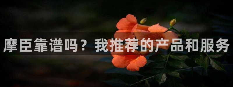 星辉平台3平台登录注册：摩臣靠谱吗？我推荐的产品和服务