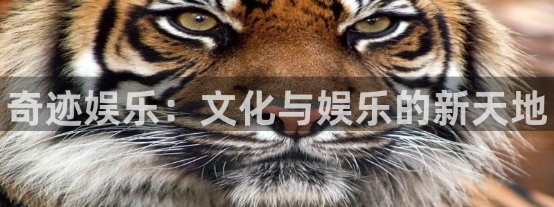 星辉平台体育凯捷平台代理：奇迹娱乐：文化与娱乐的新天地