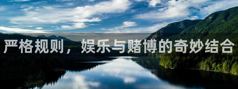 星辉平台平台官网登录入口：严格规则，娱乐与赌博的奇妙结合