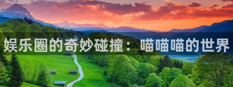 星辉平台登录注册：娱乐圈的奇妙碰撞：喵喵喵的世界