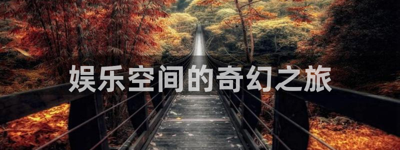 星辉平台下载链接：娱乐空间的奇幻之旅