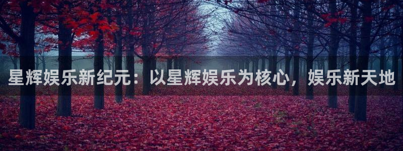 星辉平台电玩网官网入口：星辉娱乐新纪元：以星辉娱乐为核心，娱乐新天地