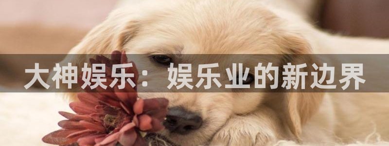 星辉平台零能源集团：大神娱乐：娱乐业的新边界