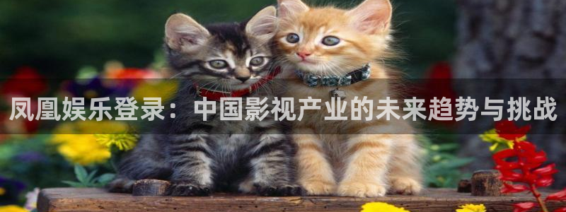 星辉平台软件：凤凰娱乐登录：中国影视产业的未来趋势与挑战