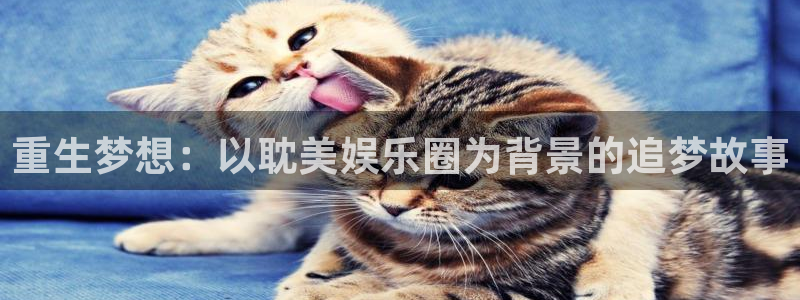 星辉平台登录注册：重生梦想：以耽美娱乐圈为背景的追梦故事