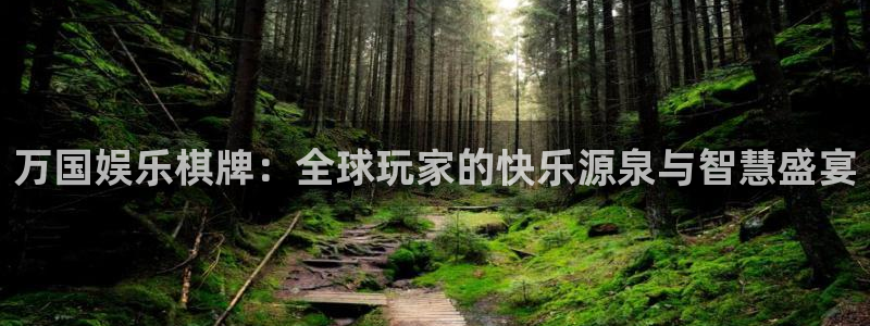 星辉平台4开户