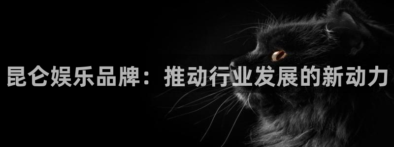 星辉平台放水时间
