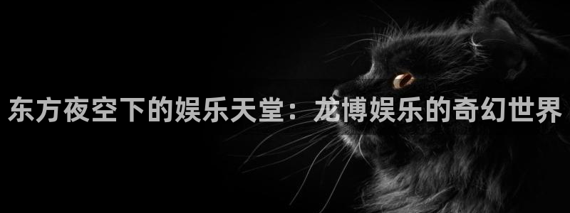 星辉平台免费注册：东方夜空下的娱乐天堂：龙博娱乐的奇幻世界
