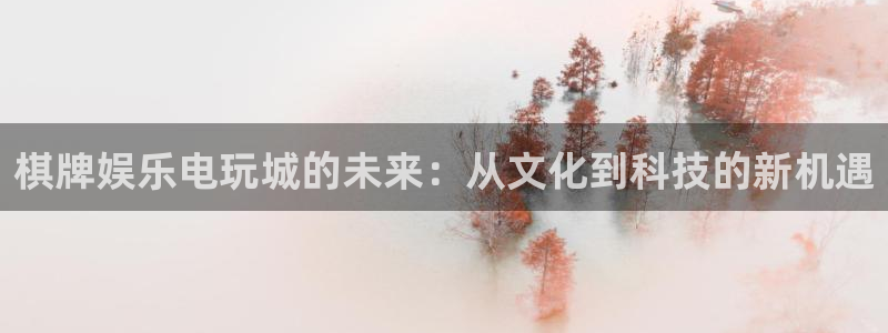 星辉平台2登录地址：棋牌娱乐电玩城的未来：从文化到科技的新机遇